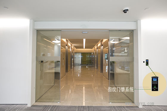 鋼化玻璃秋葵APP下载-騰訊案例圖片